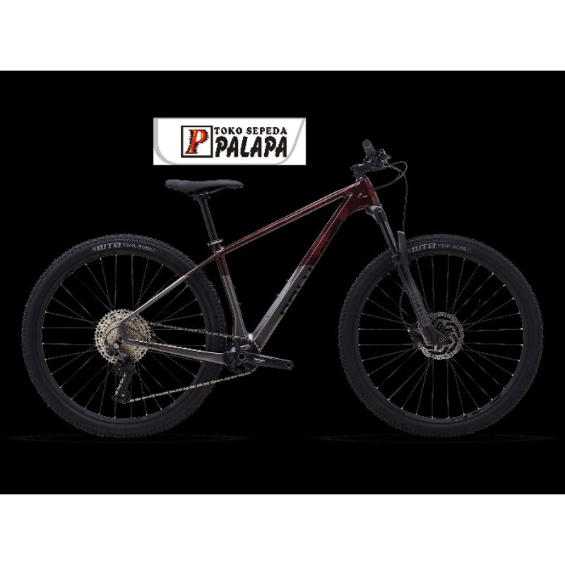 Sepeda polygon best sale syncline c3