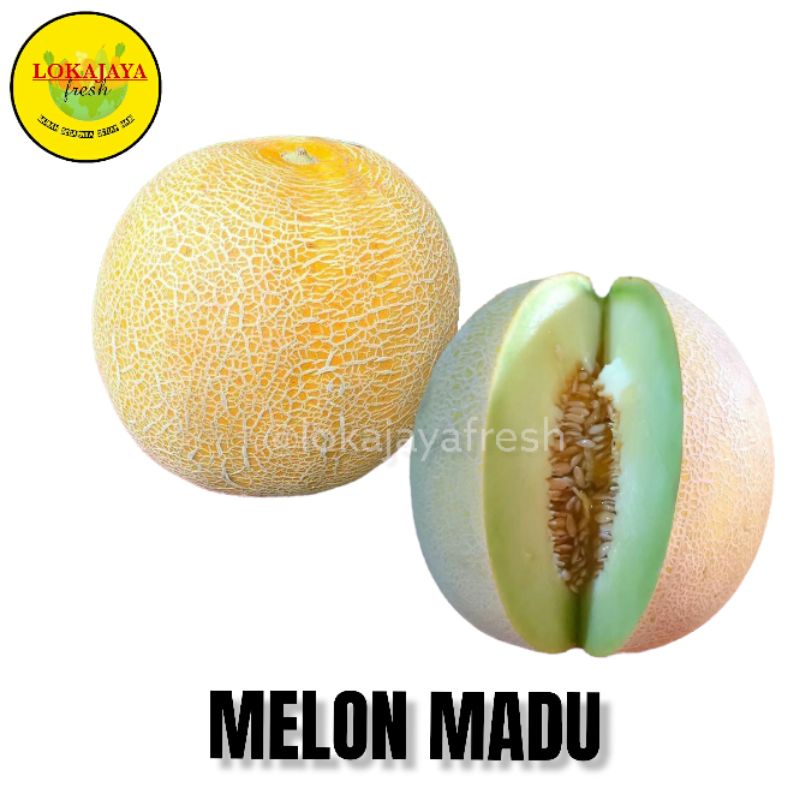 Jual Melon Madu Super Manis 1 Buah Pengiriman Instant Dan Sameday Shopee Indonesia 