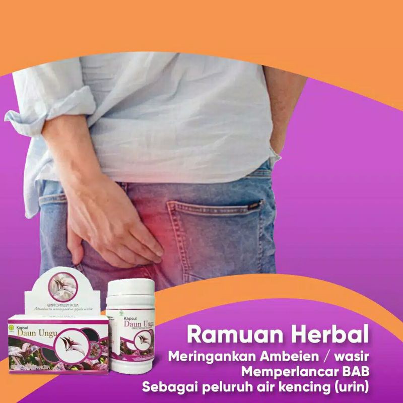 Jual Kapsul Daun Ungu Obat Paket 1 2 Box Shopee Indonesia