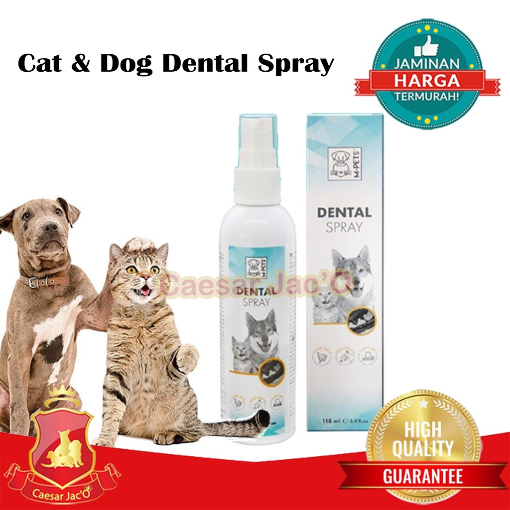 Jual Pembersih & Pewangi Gigi Anjing Kucing Hewan Cat & Dog Dental