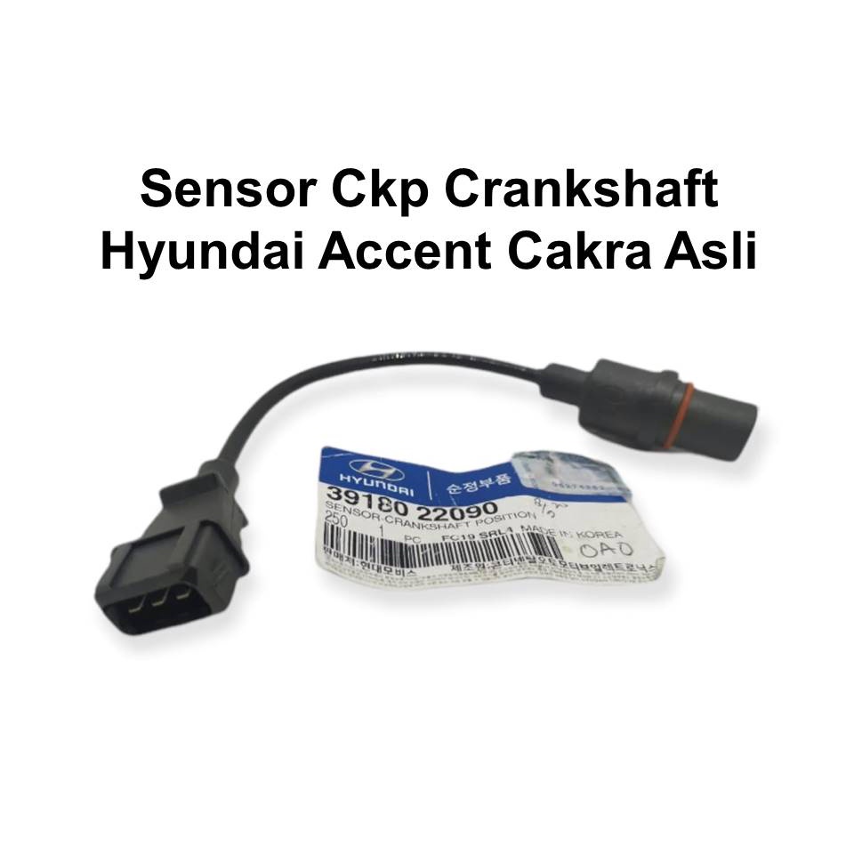 Jual SENSOR CKP ACCENT CAKRA SENSOR CRANKSHAFT POSITION PENGAPIAN ...