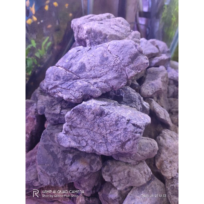 Jual BATU TURLY UNTUK AQUASCAPE PER 1 KG | Shopee Indonesia