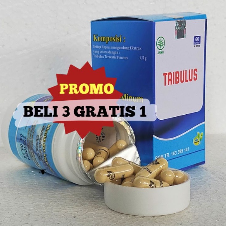 Jual Tribulus Isi Kapsul Shopee Indonesia