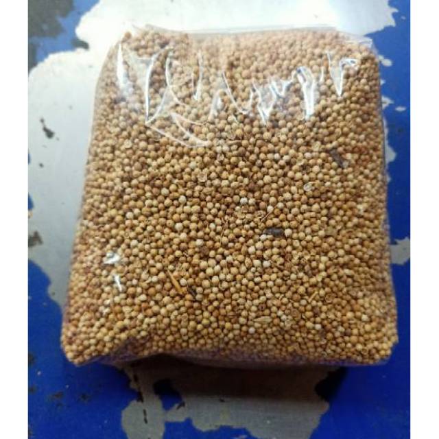 Jual ketumbar bulat kuning ketumbar putih tumbar bersih 1 kg | Shopee ...