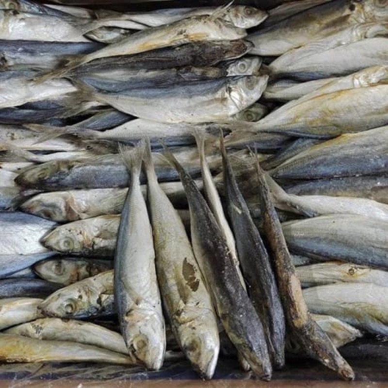 Jual Ikan Asin Japuh Layang 500gr / Ikan Japuh Rebus | Shopee Indonesia