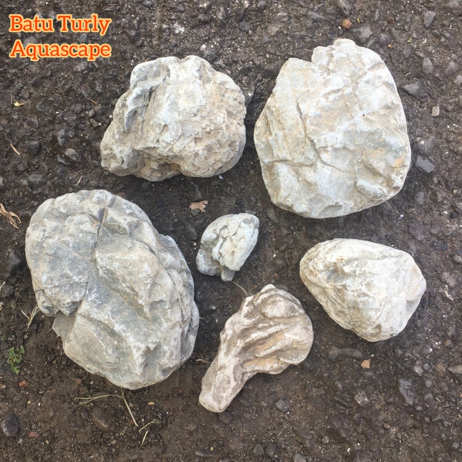 Jual Batu Turly Turli Truly Stone Aquascape Aquarium Paludarium Decor ...