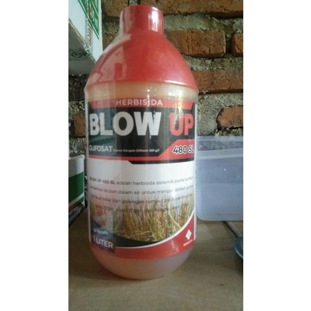 Jual Herbisida Blow Up 480 SL Herbisida Pembasmi Rumput Sistemik 1