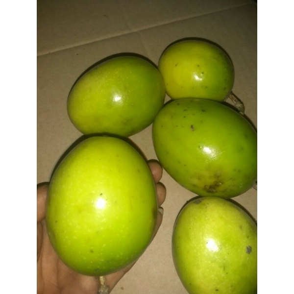 Jual Jual Buah Markisa Kuning Segar Dan Enak 1kg Shopee Indonesia