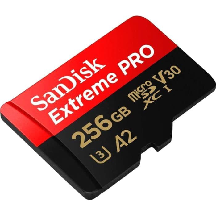ORDRO EP8 と Sandisk microSD 256GB