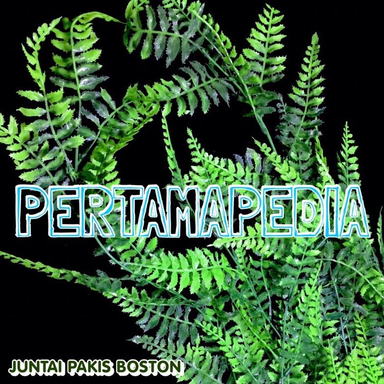 Jual Juntai Pakis Boston/ Bunga Plastik/ Daun Rambat Plastik/ Bunga ...