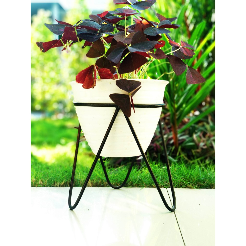 Jual Standing Tanaman / Bunga - Besi Taman Indoor Outdoor Plant V POT