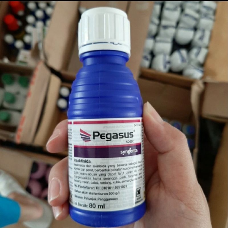 Jual Pegasus 500SC 80 ml Shopee Indonesia