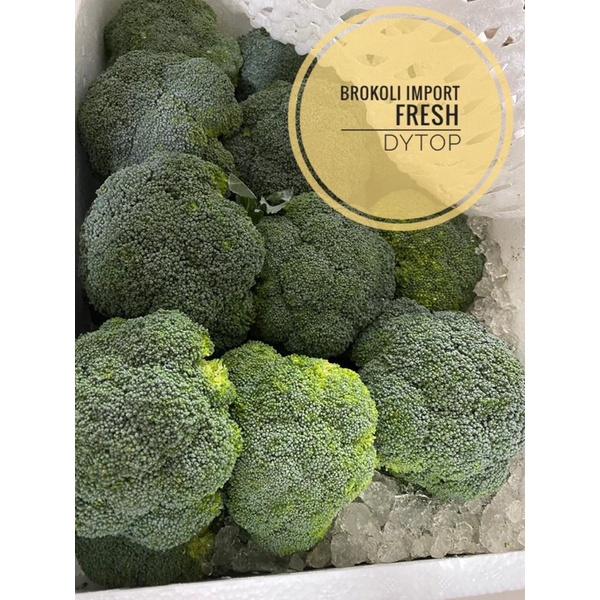 Jual Sayuran Brokoli Import Fresh Segar - Per 1 Kg | Shopee Indonesia