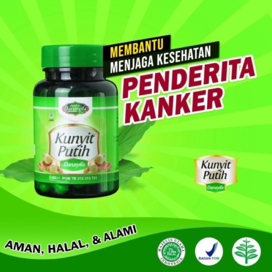 Jual Kapsul Kunyit Putih Darusyifa Bpom Isi 60 Ekstrak Kunyit Putih Atau Temu Putih Herbal 4083