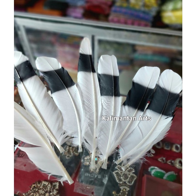 Jual Bulu Burung Aksesoris Dayak Kalimantan Shopee Indonesia