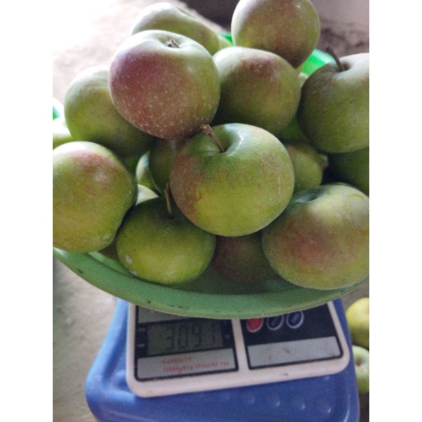 Jual apel khas malang rome beauty 1kg 7-9buah | Shopee Indonesia