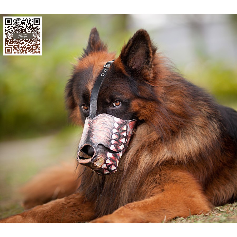 Painted 2024 dog muzzle