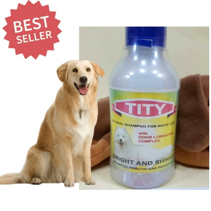 Shampoo anjing outlet golden retriever