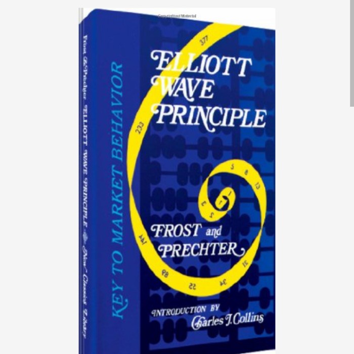 Jual Elliott Wave Principle Key To Market Behavior Paperback Shopee Indonesia 