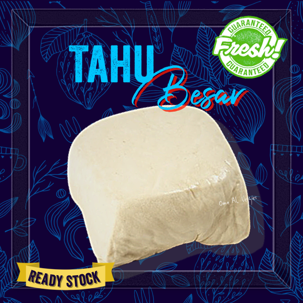 Jual TAHU PUTIH BESAR / TAHU CINA Per 1 Pcs | Shopee Indonesia