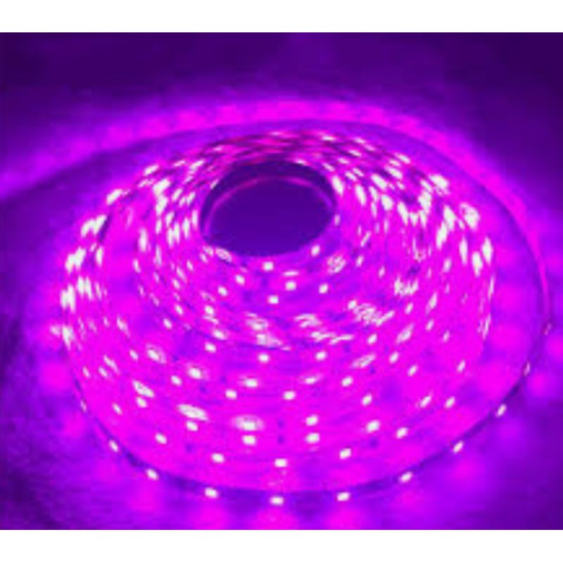 Jual hippo LED strip | Shopee Indonesia