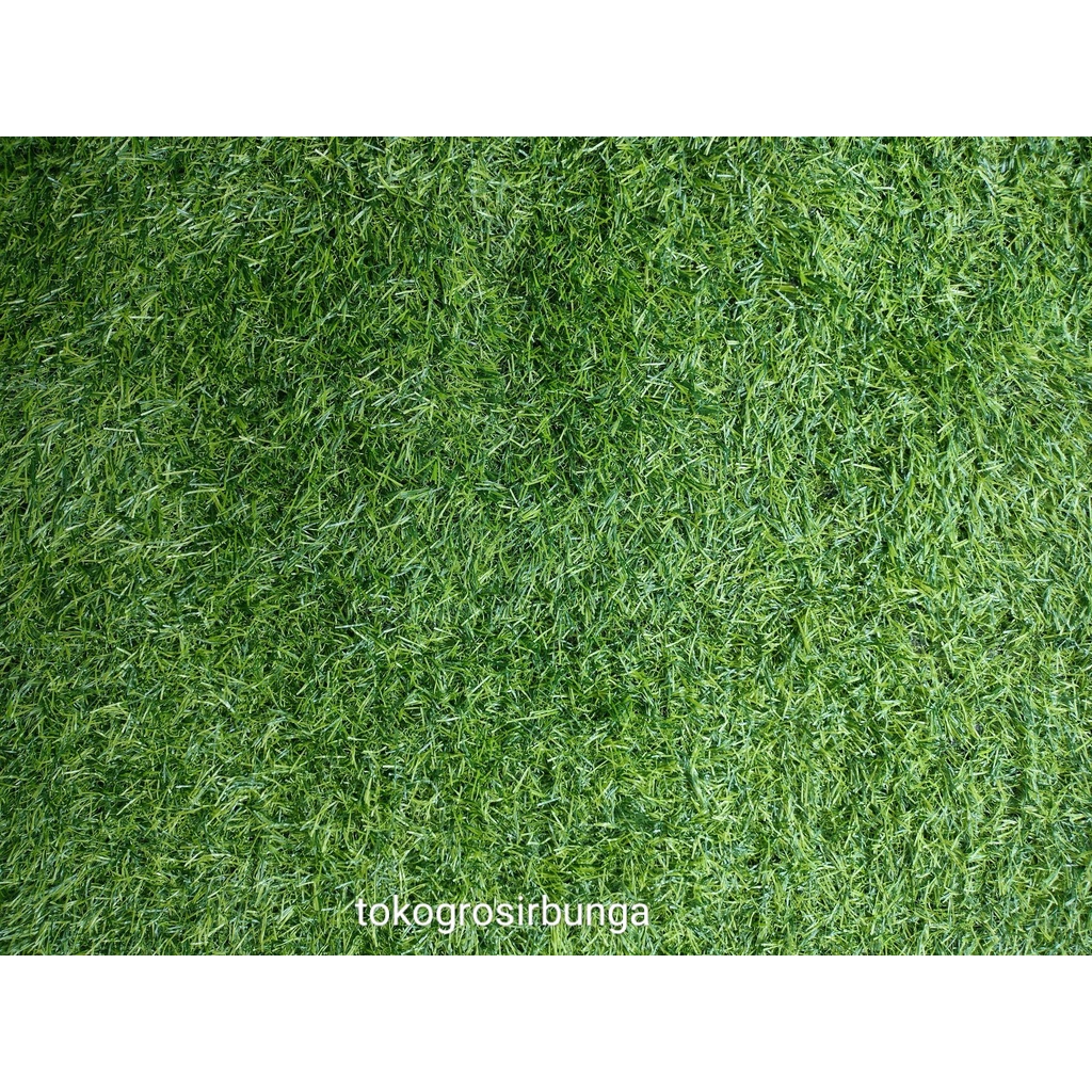 Jual KARPET RUMPUT SINTETIS SWISS 50 CM X 100 CM TEBAL | Shopee Indonesia