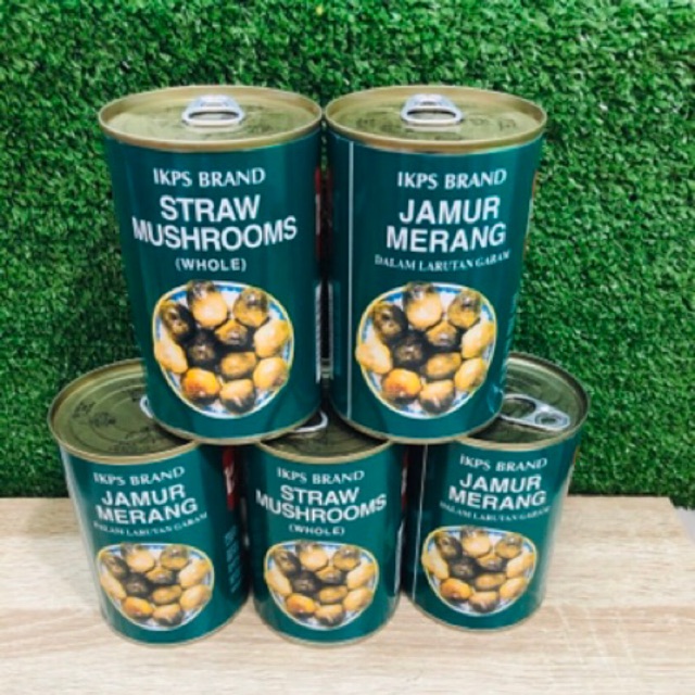 Jual Jamur merang kaleng straw mushroom besar 425gr Shopee Indonesia