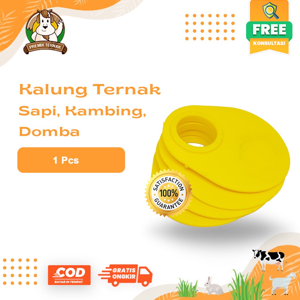 Jual NECK TAG KAMBING FREE TALI TINGGAL PASANG - NECKTAG Penanda Kalung ...