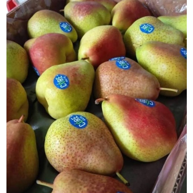 Jual Buah Pear Forelli Manis Per 1 Kg Shopee Indonesia 