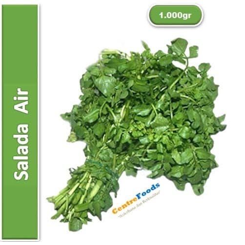 Jual Sayur Selada Air - Salada Jembak Fresh | 1.000gr [ Harga Per KG ...