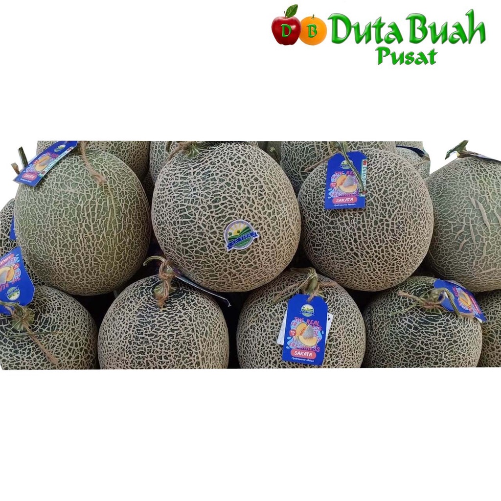 Jual DUTA BUAH Melon Red Sweet Sakata (+-0.8gram-1.5kg/buah) | Shopee ...
