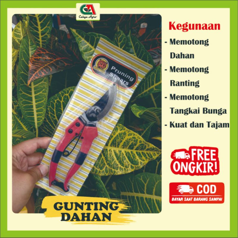 Jual Gunting Pruning Dahan Ranting dan Bunga | Shopee Indonesia