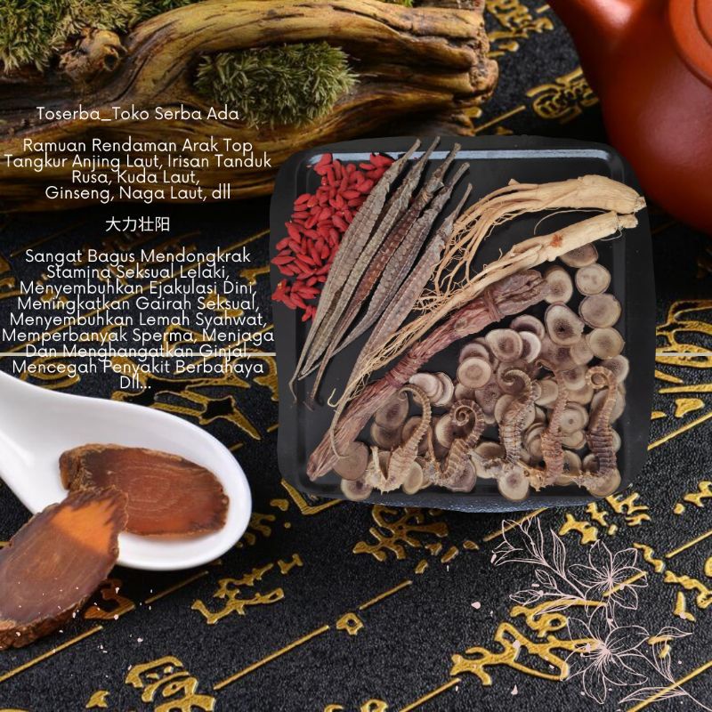 Jual Ramuan Rendaman Afrodisiak Pria Tangkur Anjing Laut 正海狗鞭 鹿茸 人参 海马 ...