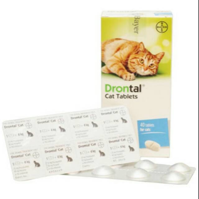 Drontal untuk kitten best sale