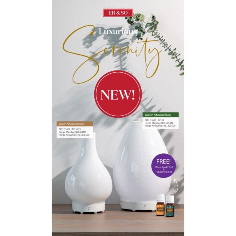 Young Living Artisan Diffuser 2個セット 新品（NEW Original