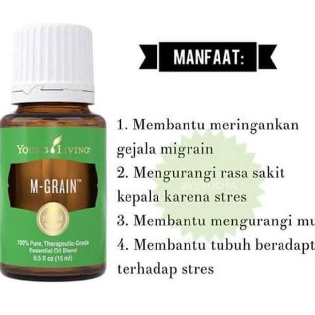 Jual Mgrain Young Living Essential Oil 15 ml | Shopee Indonesia