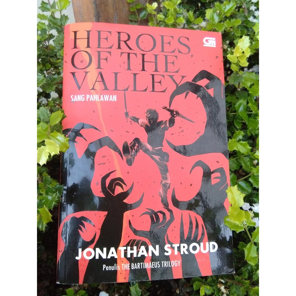 Jual Buku novel preloved HERO OF THE VALLEY SANG PAHLAWAN