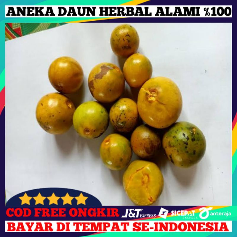 Jual Buah Campolay/campoleh 500g | Shopee Indonesia