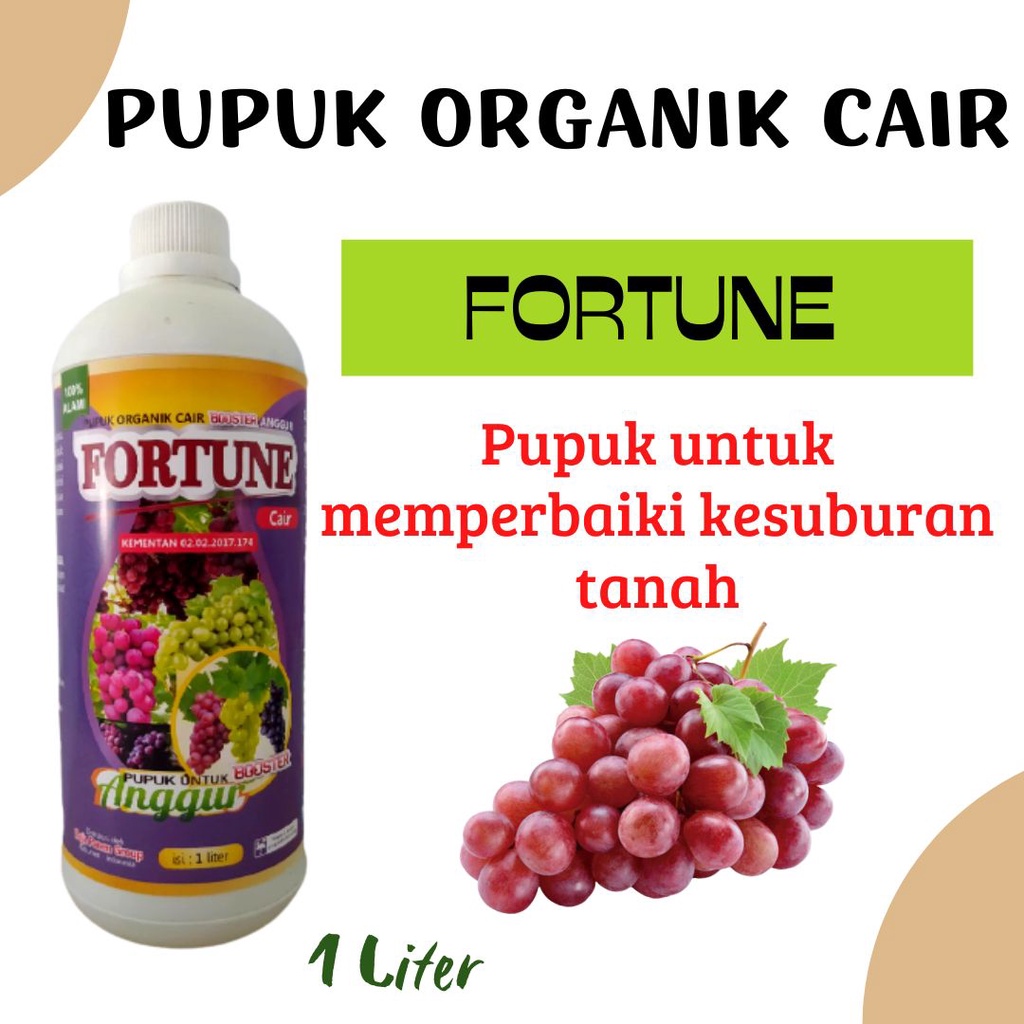 Jual Pupuk Anggur Masa Generatif, Booster Pelebat Buah Anggur Anti ...