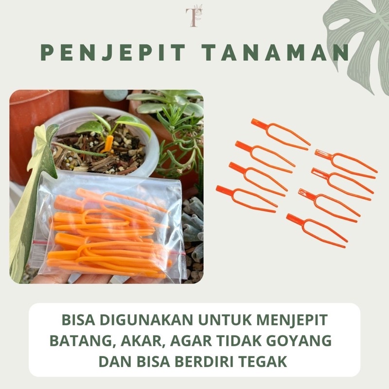 Jual Penjepit Tanaman / Penjepit batang / klip tanaman / penjepit akar