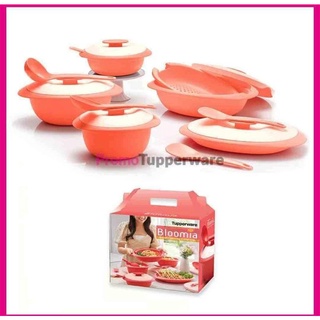 Jual Tupperware Holiday Pack Promo Termurah - Kab. Tangerang - All In  Seller