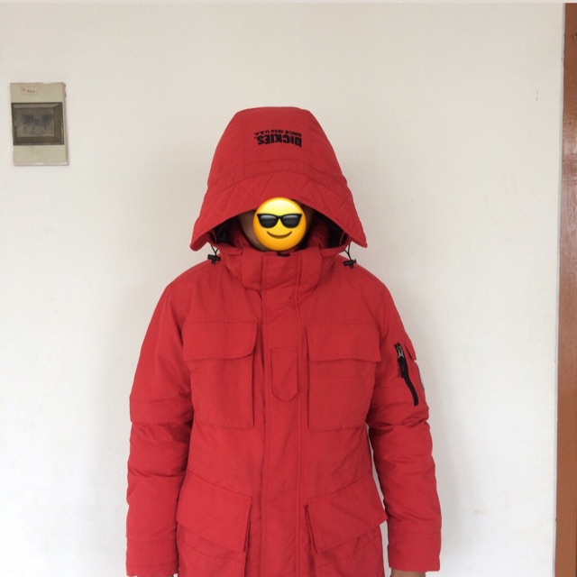 Dickies parka jacket best sale