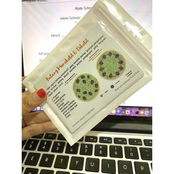 Jual Flashcards Biologi By Biology Student Notes | Shopee Indonesia