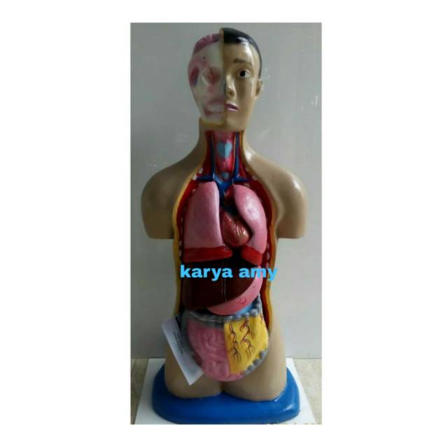 Jual Torso Pria Shopee Indonesia