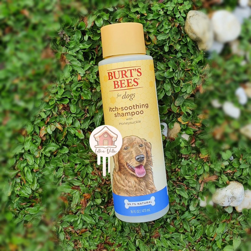 Burt's bees shop itch soothing shampoo