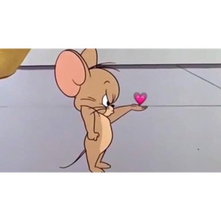ncoyppa
