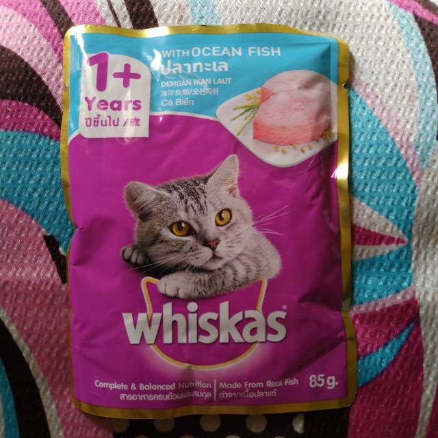 Jual Whiskas Adult with Ocean Fish Sachet Pouch | Shopee Indonesia