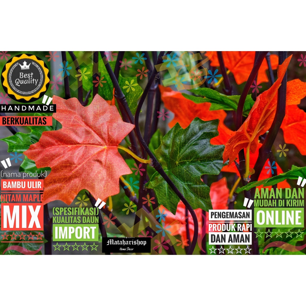 Jual bambu ulir hias 10 Btg Bambu Ulir Hitam Maple Mix 190cm (Tanpa Pot ...