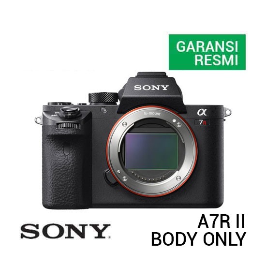 sony rx10 new model