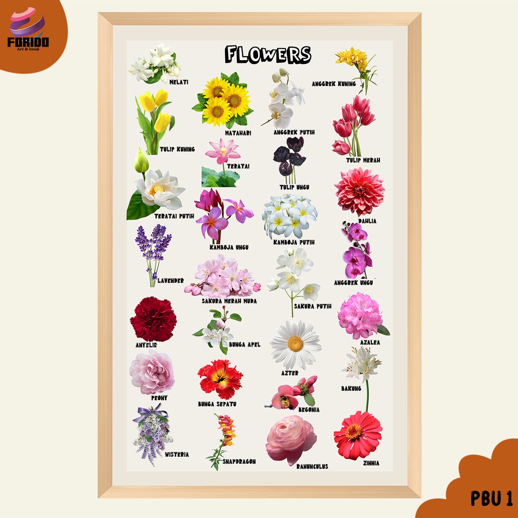 Jual Poster Mainan Anak Edukasi Mengenal Nama Nama Bunga Shopee